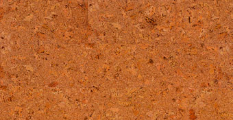 Åciana korkowa Melville